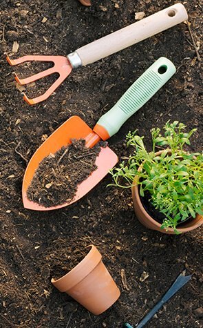 Myor Himalaya